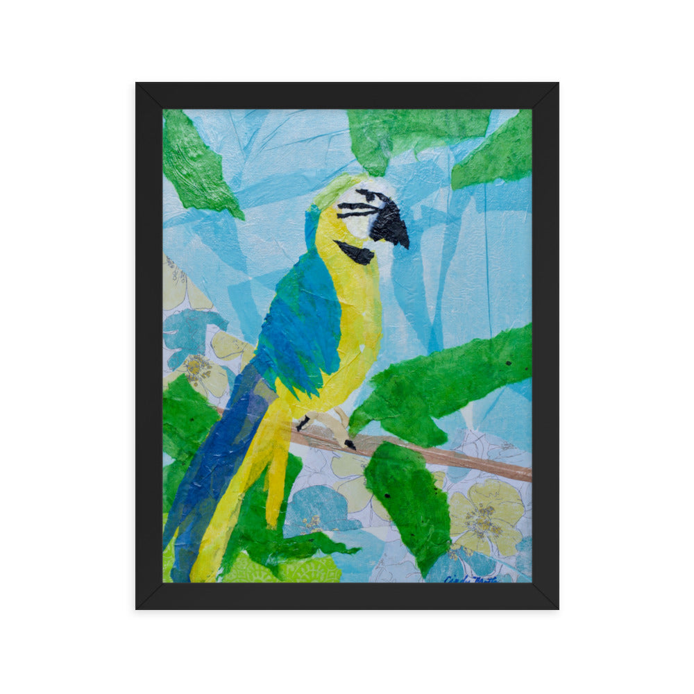 Parrot By Cindy Motley Framed poster