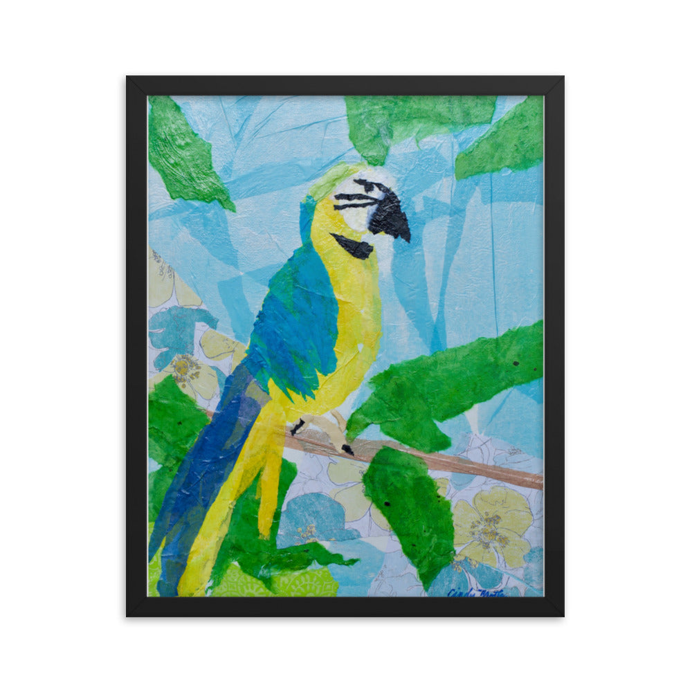 Parrot By Cindy Motley Framed poster