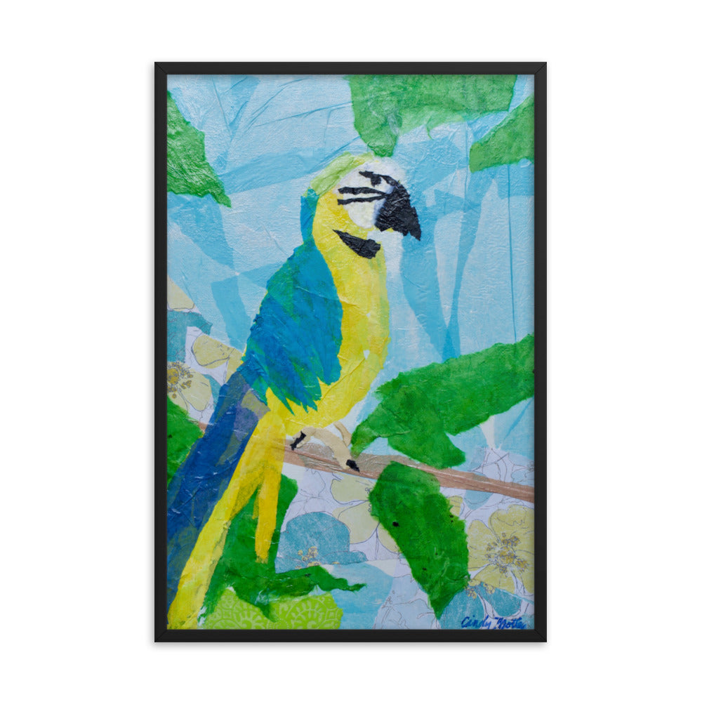 Parrot By Cindy Motley Framed poster