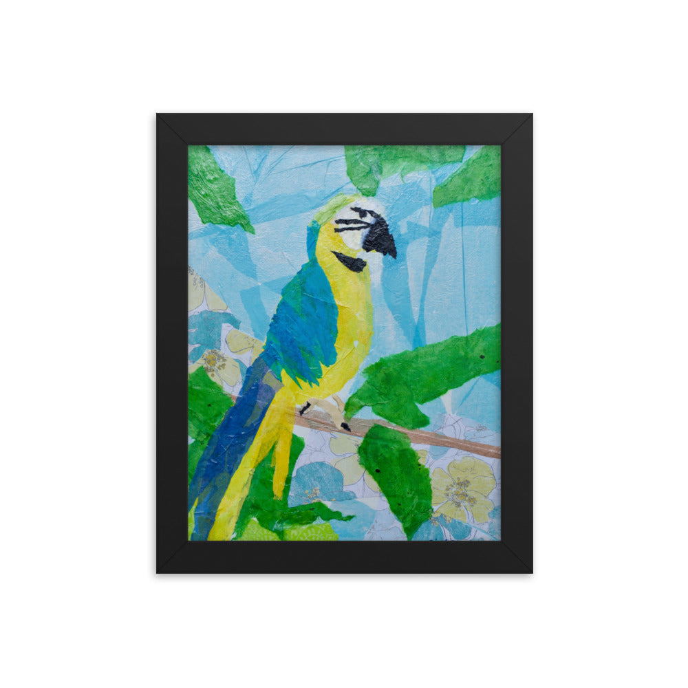 Parrot By Cindy Motley Framed poster