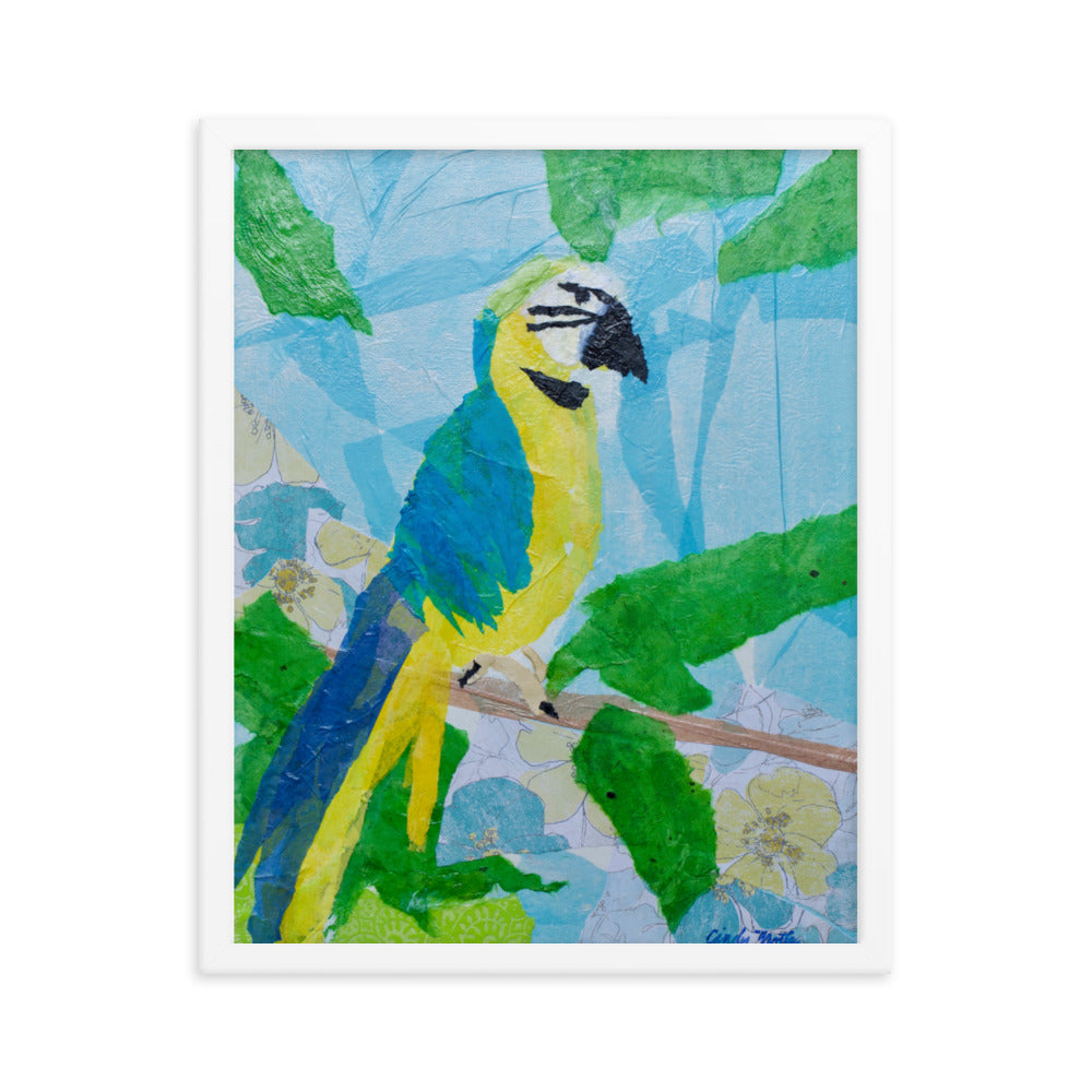 Parrot By Cindy Motley Framed poster