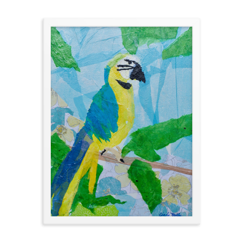 Parrot By Cindy Motley Framed poster