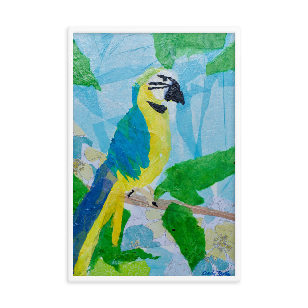 Parrot By Cindy Motley Framed poster