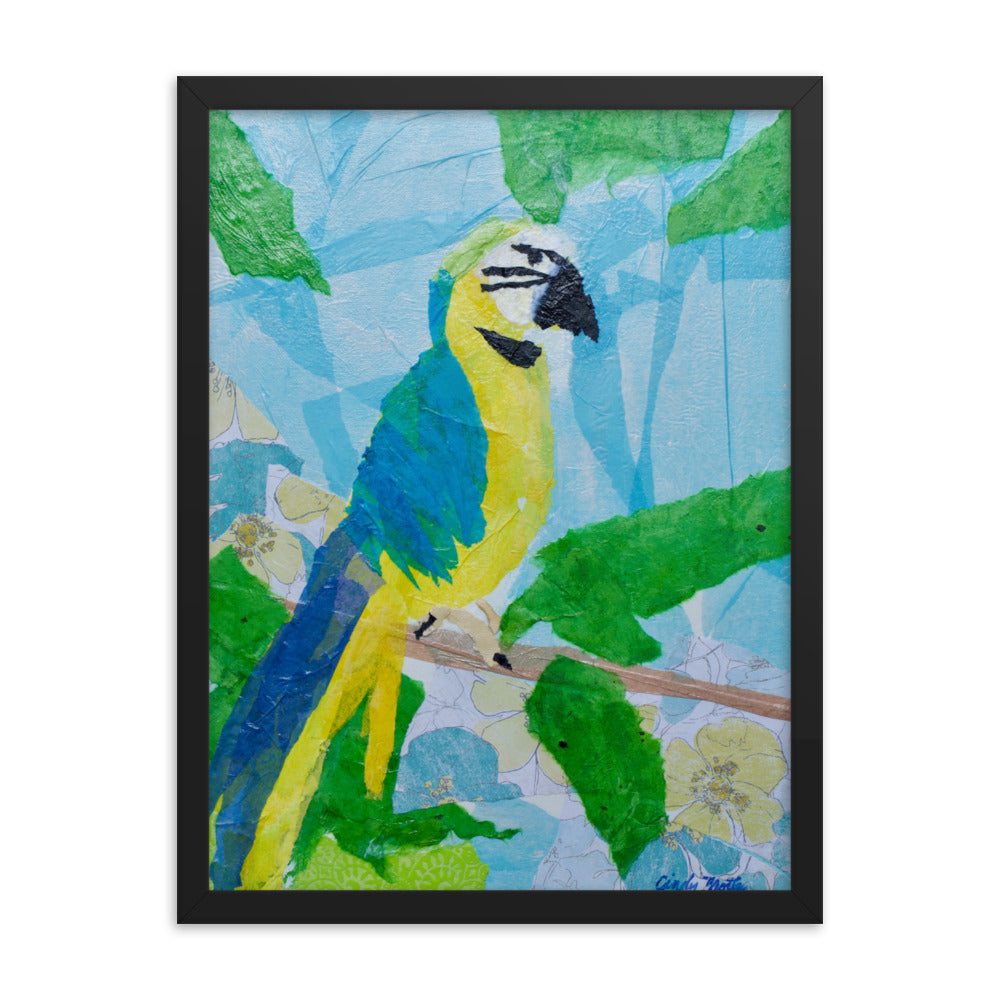 Parrot By Cindy Motley Framed poster
