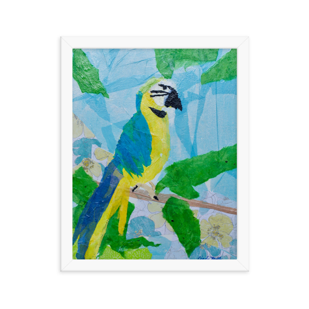 Parrot By Cindy Motley Framed poster